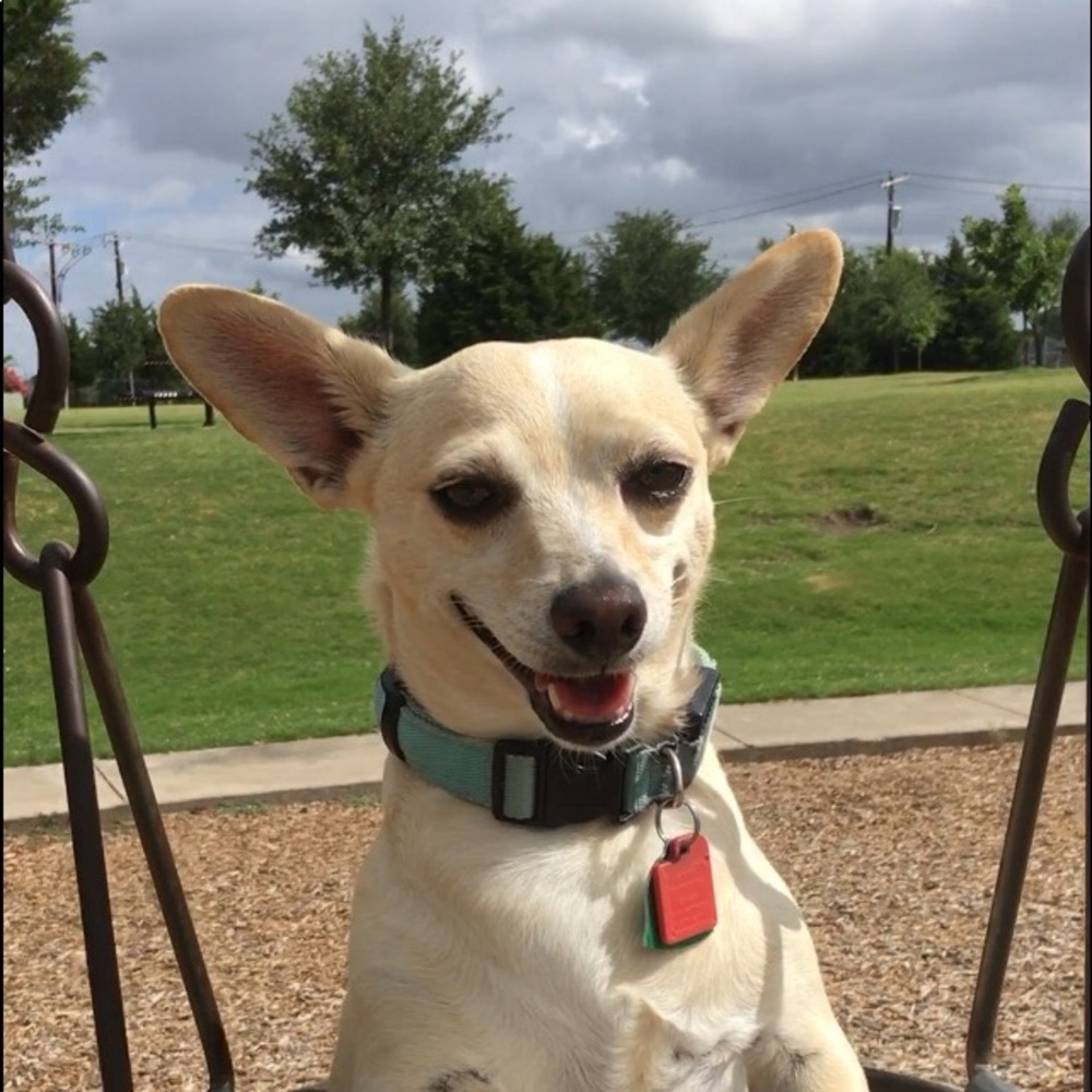 Meet your Posher, Cindy